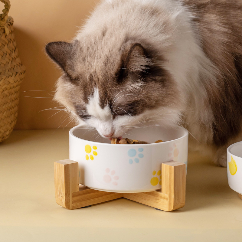 Ceramics Dog Bowl with Wood Ma - đánh giá và giá Baby Food Cat