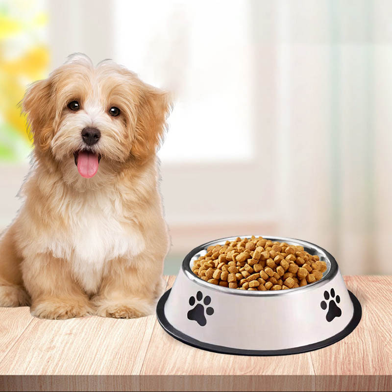 Stainless Steel Pet Bowl Cat B - đánh giá và giá Baby Food Cat