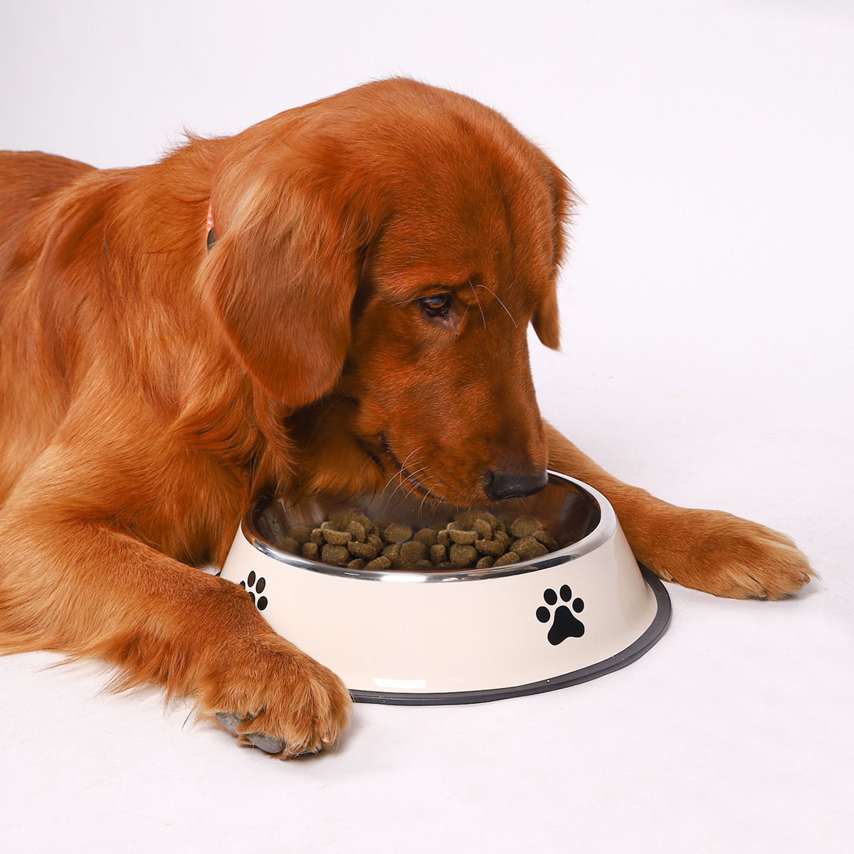 Stainless Steel Pet Bowl Cat B - đánh giá và giá Baby Food Cat